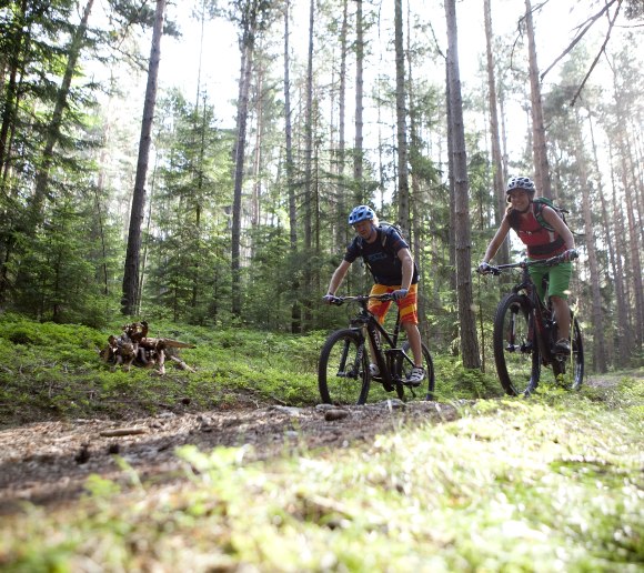 NÖ-Firmenchallenge, © Wiener Alpen; Thomas Bartl, mountainbikeguides.com